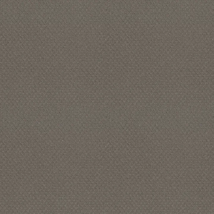 Shaw Floors Del Vista — Still Gray · ZZ262-00515 — flooring selection with LeviArs Design & Remodeling