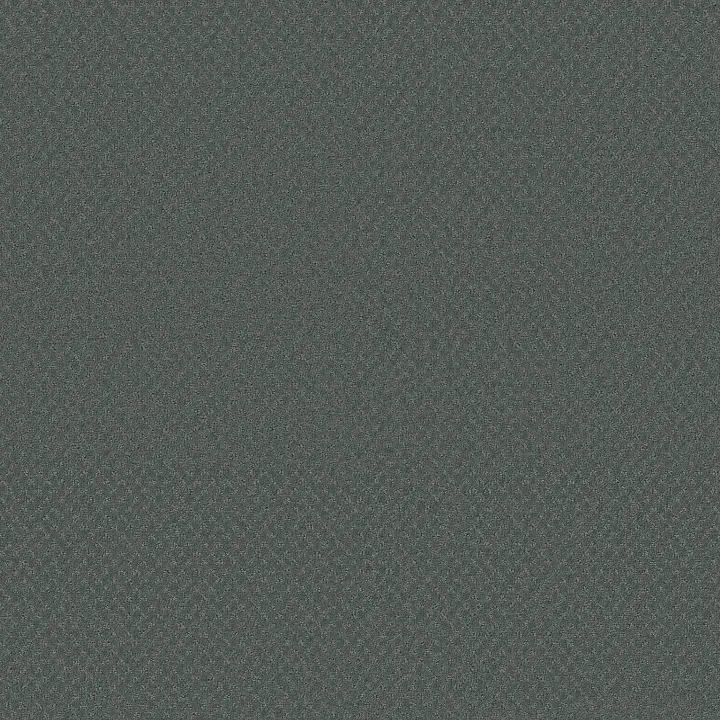 Shaw Floors Del Vista — Tidal · ZZ262-00446 — flooring selection with LeviArs Design & Remodeling