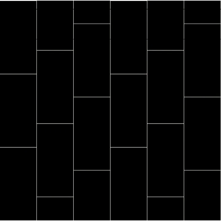 Shaw Floors Domino 12X24 Pol — Black · 704TS-00900 — flooring selection with LeviArs Design & Remodeling