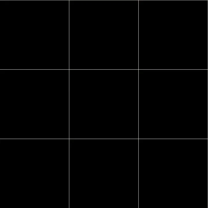 Shaw Floors Domino 24X24 Pol — Black · 706TS-00900 — flooring selection with LeviArs Design & Remodeling
