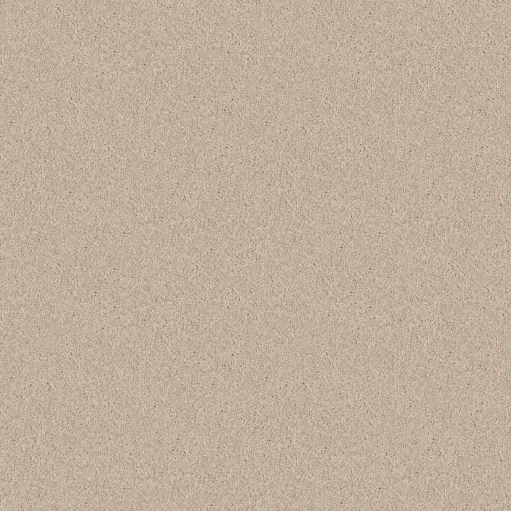 Shaw Floors Dyersburg Classic 12' — Alabaster · E0947-55100 — flooring selection with LeviArs Design & Remodeling