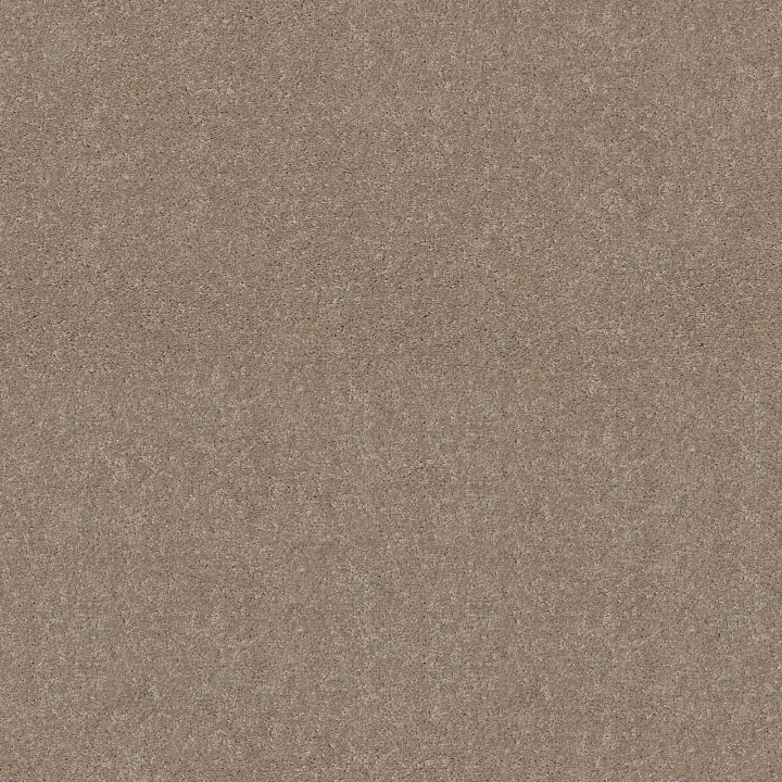 Shaw Floors Dyersburg Classic 12' — Antique Silk · E0947-00131 — flooring selection with LeviArs Design & Remodeling