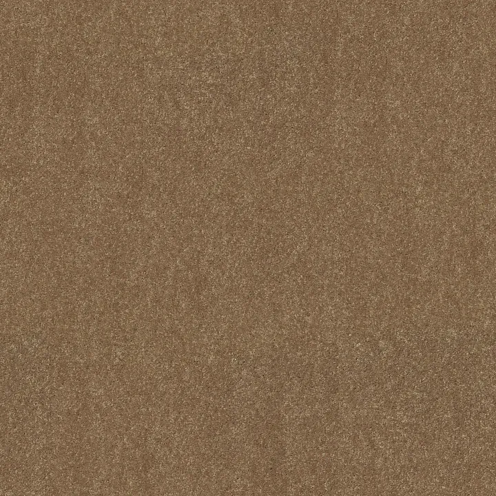 Shaw Floors Dyersburg II 12' — Candied Truffle · 53755-55750 — flooring selection with LeviArs Design & Remodeling
