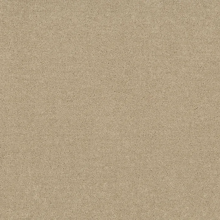 Shaw Floors Dyersburg Classic 12' — Casual Cream · E0947-00230 — flooring selection with LeviArs Design & Remodeling