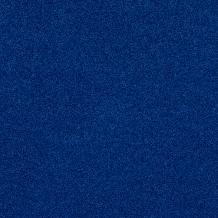 Shaw Floors Dyersburg Classic 12' — Cobalt · E0947-55453 — flooring selection with LeviArs Design & Remodeling