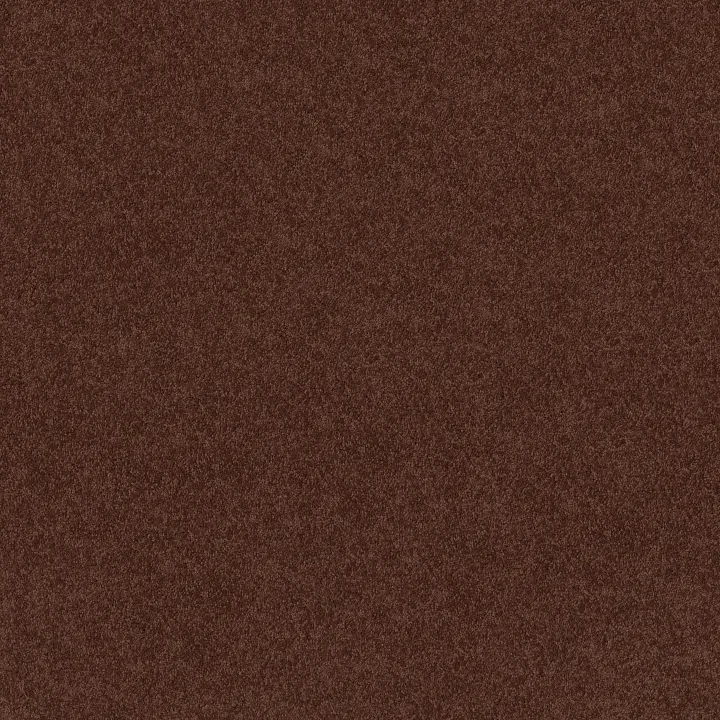 Shaw Floors Dyersburg Classic 12' — Coffee · E0947-55755 — flooring selection with LeviArs Design & Remodeling