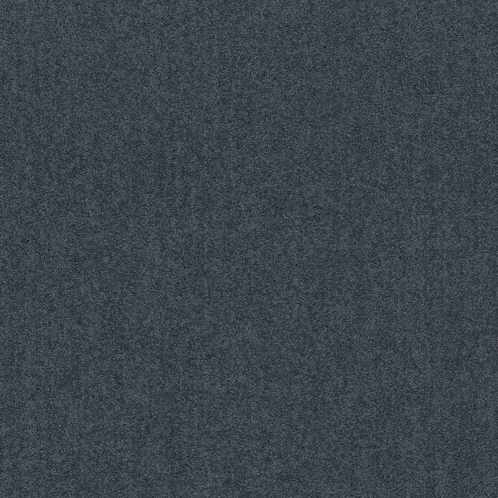 Shaw Floors Dyersburg Classic 12' — Colonial · E0947-55401 — flooring selection with LeviArs Design & Remodeling