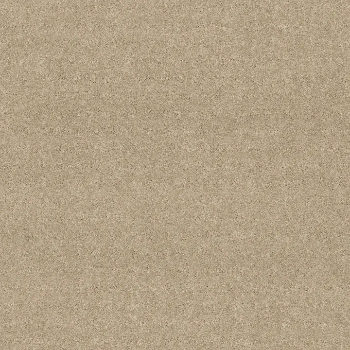 Shaw Floors Dyersburg Classic 12' — Crisp Linen · E0947-00109 — flooring selection with LeviArs Design & Remodeling