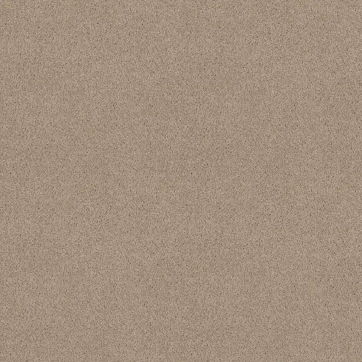 Shaw Floors Dyersburg II 12' — Dove · 53755-55700 — flooring selection with LeviArs Design & Remodeling
