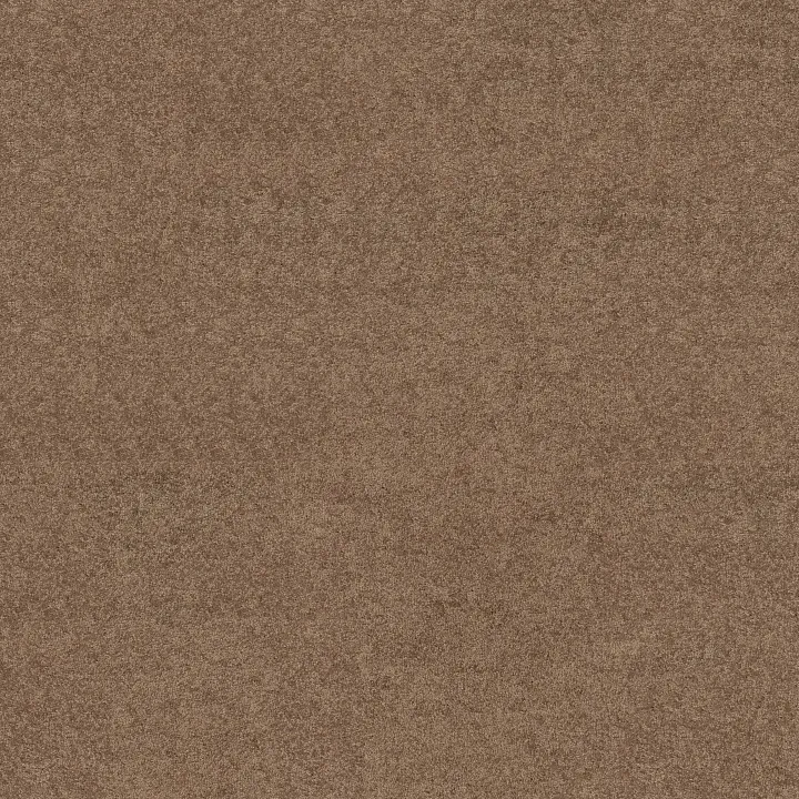 Shaw Floors Dyersburg II 12' — Driftwood · 53755-55720 — flooring selection with LeviArs Design & Remodeling