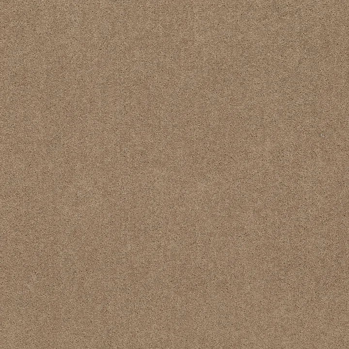 Shaw Floors Dyersburg II 12' — Dusty Trail · 53755-55793 — flooring selection with LeviArs Design & Remodeling