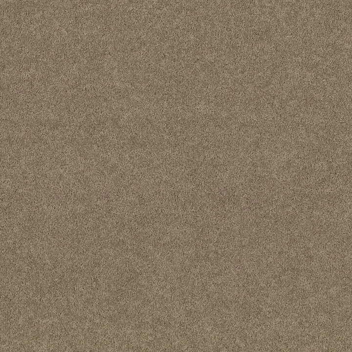 Shaw Floors Dyersburg Classic 12' — Fossil · E0947-00761 — flooring selection with LeviArs Design & Remodeling