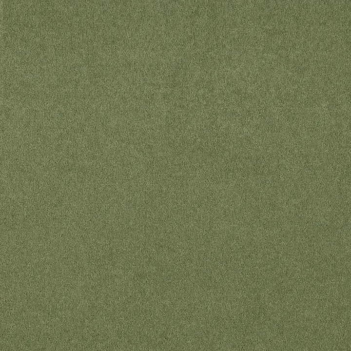 Shaw Floors Dyersburg Classic 12' — Going Green · E0947-00330 — flooring selection with LeviArs Design & Remodeling