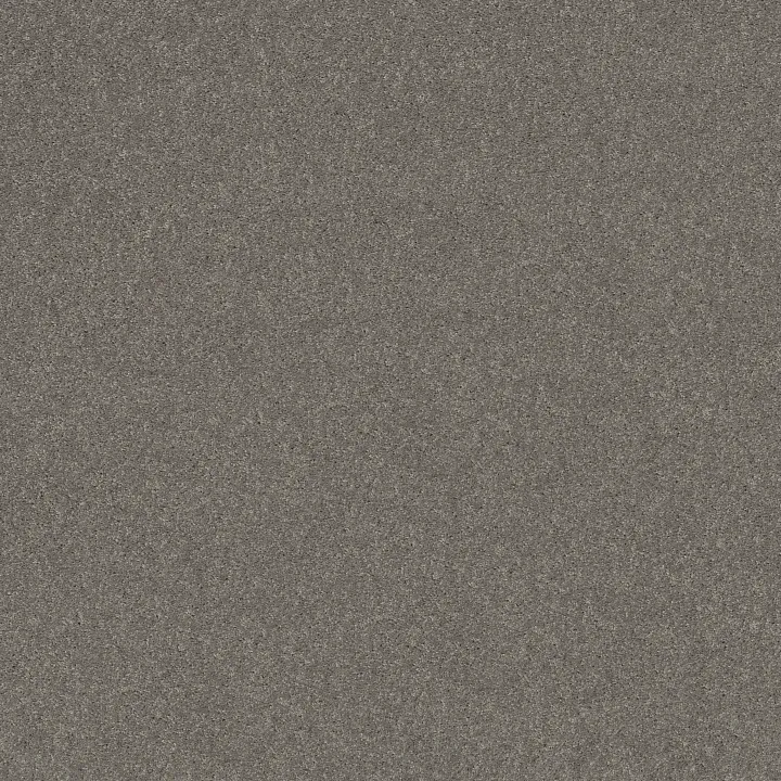 Shaw Floors Dyersburg Classic 12' — Haze · E0947-00531 — flooring selection with LeviArs Design & Remodeling