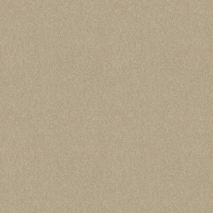 Shaw Floors Dyersburg Classic 12' — Ivory Tint · E0947-55101 — flooring selection with LeviArs Design & Remodeling