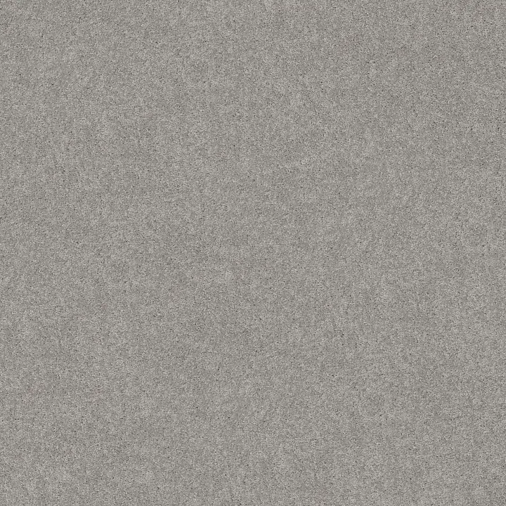 Shaw Floors Dyersburg Classic 12' — Morning Fog · E0947-00530 — flooring selection with LeviArs Design & Remodeling