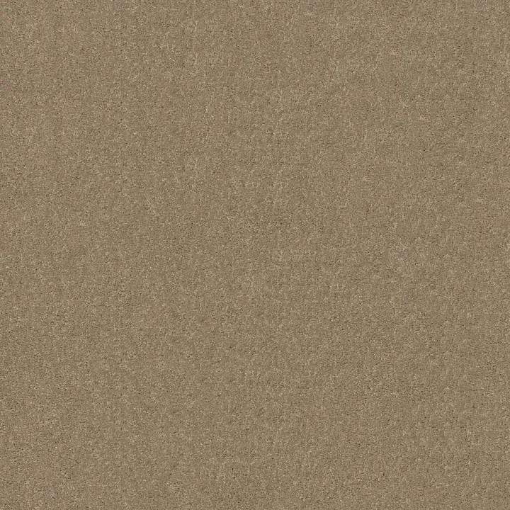 Shaw Floors Dyersburg Classic 12' — Plaster · E0947-55752 — flooring selection with LeviArs Design & Remodeling
