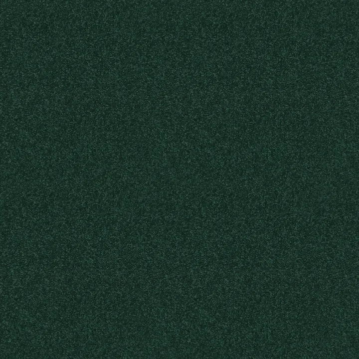 Shaw Floors Dyersburg Classic 12' — Polo · E0947-55301 — flooring selection with LeviArs Design & Remodeling
