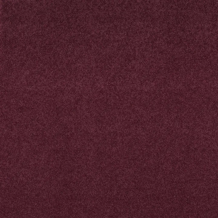 Shaw Floors Dyersburg Classic 12' — Radiant Orchid · E0947-00931 — flooring selection with LeviArs Design & Remodeling