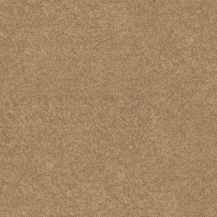 Shaw Floors Dyersburg Classic 12' — Straw Hat · E0947-00260 — flooring selection with LeviArs Design & Remodeling