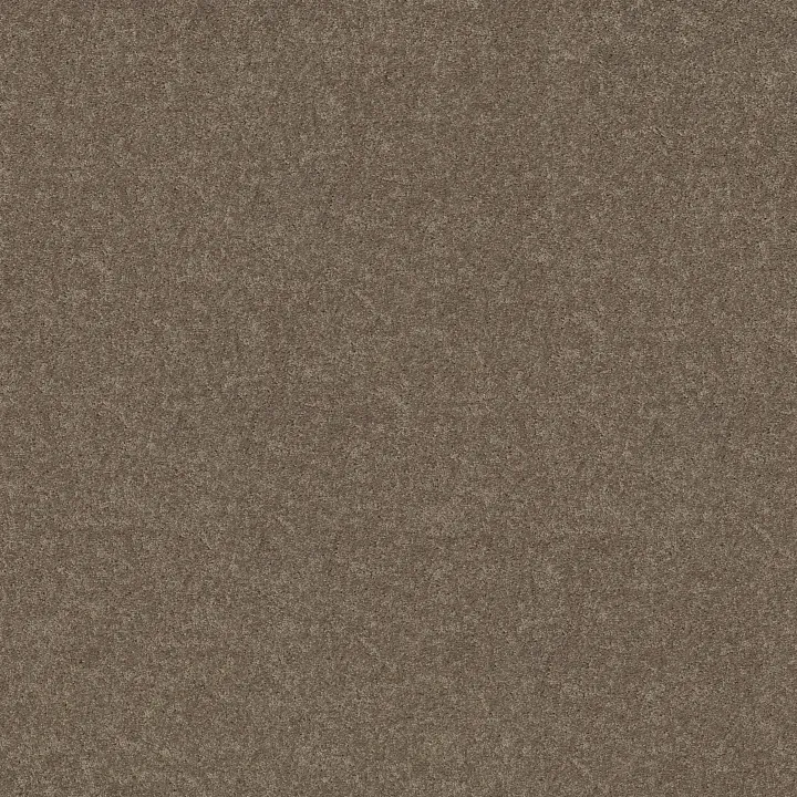 Shaw Floors Dyersburg Classic 12' — Suede · E0947-00731 — flooring selection with LeviArs Design & Remodeling
