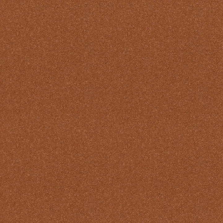 Shaw Floors Dyersburg Classic 12' — Sunburst · E0947-00630 — flooring selection with LeviArs Design & Remodeling