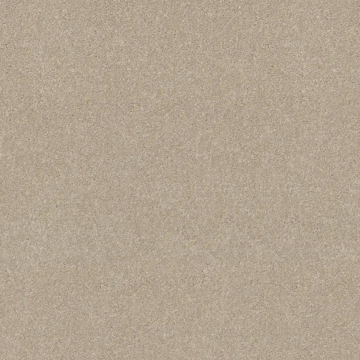 Shaw Floors Dyersburg Classic 12' — Taupe · E0947-55105 — flooring selection with LeviArs Design & Remodeling