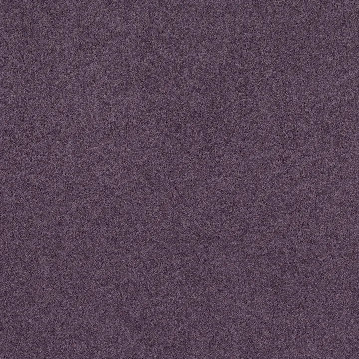 Shaw Floors Dyersburg Classic 12' — Violet Crush · E0947-00930 — flooring selection with LeviArs Design & Remodeling