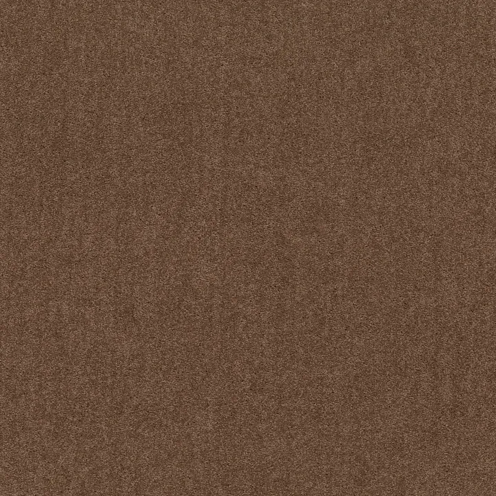 Shaw Floors Dyersburg II 12' — Winter Wheat · 53755-55791 — flooring selection with LeviArs Design & Remodeling