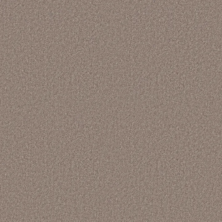 Shaw Floors Dyersburg Classic 15' — Antique Silk · E0948-00131 — flooring selection with LeviArs Design & Remodeling