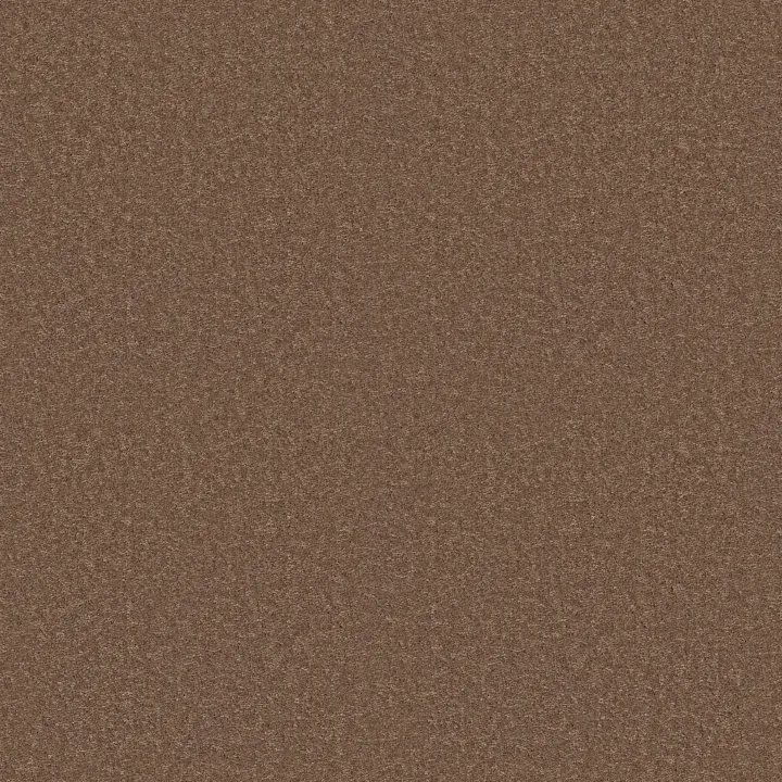 Shaw Floors Dyersburg Classic 15' — Candied Truffle · E0948-55750 — flooring selection with LeviArs Design & Remodeling