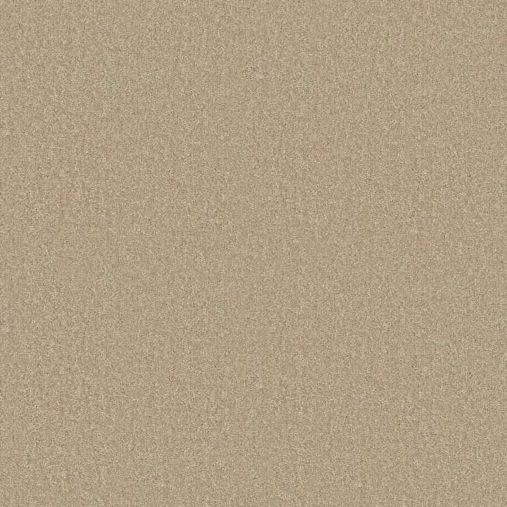 Shaw Floors Dyersburg Classic 15' — Casual Cream · E0948-00230 — flooring selection with LeviArs Design & Remodeling