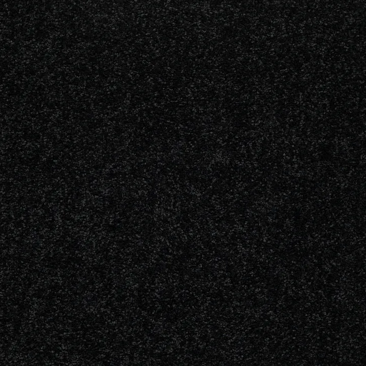 Shaw Floors Dyersburg Classic 15' — Coal Black · E0948-55502 — flooring selection with LeviArs Design & Remodeling