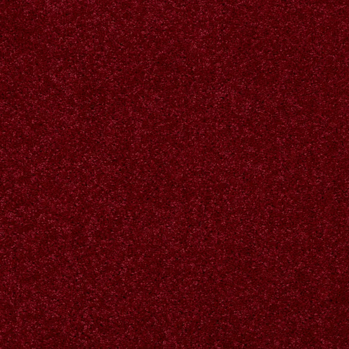 Shaw Floors Dyersburg Classic 15' — Crimson · E0948-55803 — flooring selection with LeviArs Design & Remodeling