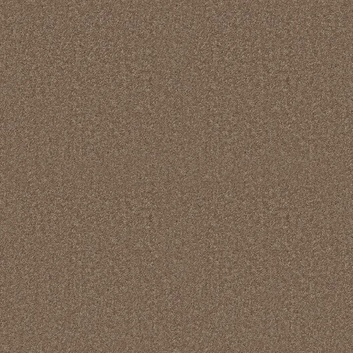 Shaw Floors Dyersburg Classic 15' — Driftwood · E0948-55720 — flooring selection with LeviArs Design & Remodeling