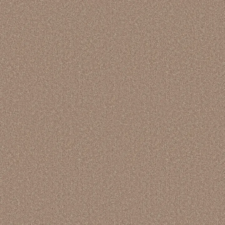 Shaw Floors Dyersburg Classic 15' — Dusty Trail · E0948-55793 — flooring selection with LeviArs Design & Remodeling
