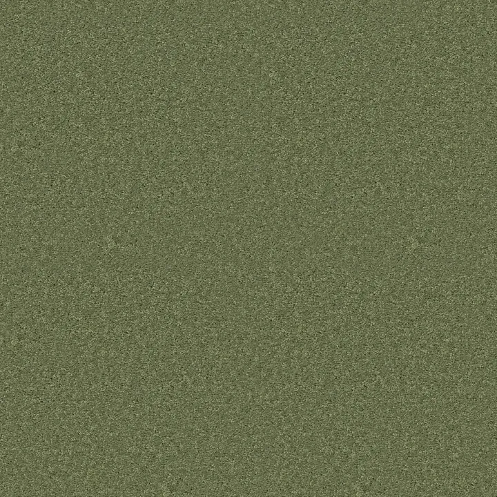 Shaw Floors Dyersburg Classic 15' — Going Green · E0948-00330 — flooring selection with LeviArs Design & Remodeling