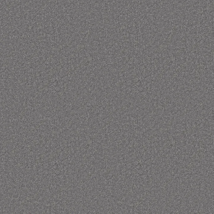 Shaw Floors Dyersburg Classic 15' — Haze · E0948-00531 — flooring selection with LeviArs Design & Remodeling