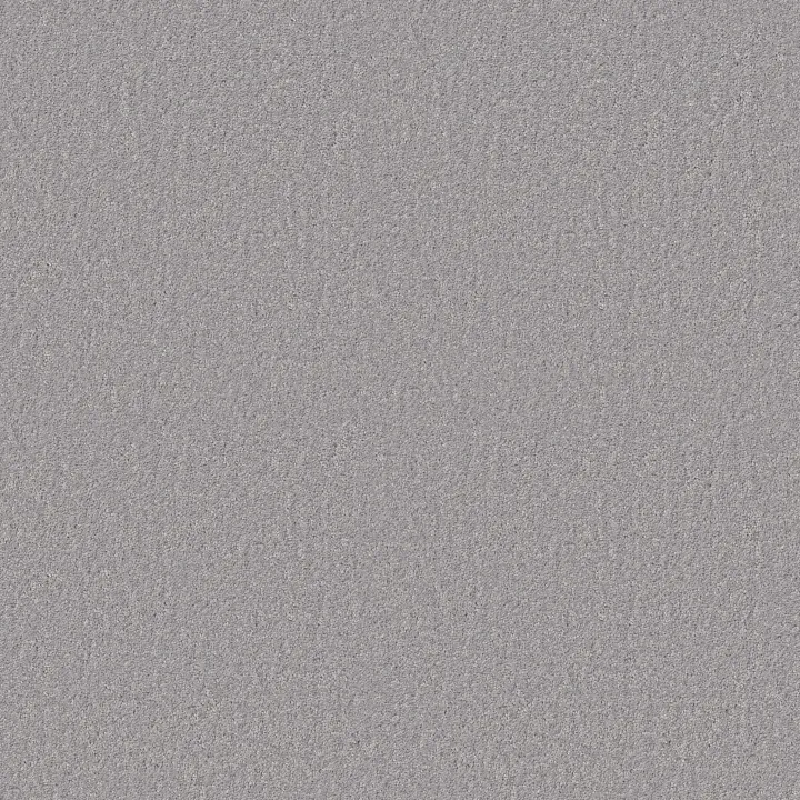 Shaw Floors Dyersburg Classic 15' — Morning Fog · E0948-00530 — flooring selection with LeviArs Design & Remodeling