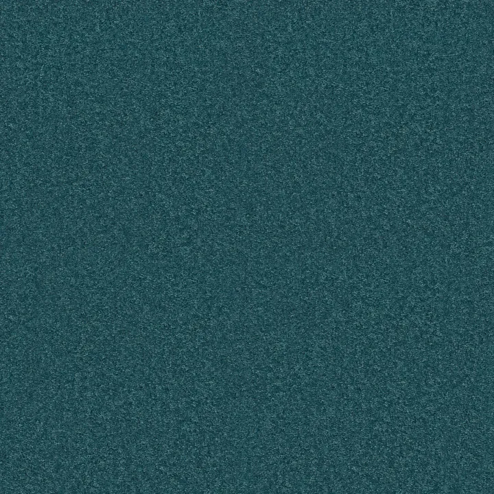 Shaw Floors Dyersburg Classic 15' — Ocean · E0948-00430 — flooring selection with LeviArs Design & Remodeling