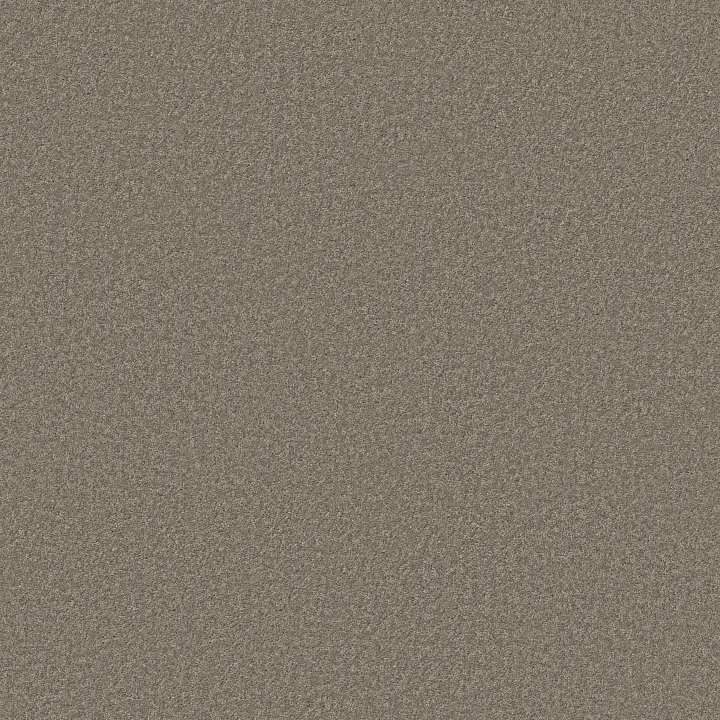 Shaw Floors Dyersburg Classic 15' — Pebble Path · E0948-00132 — flooring selection with LeviArs Design & Remodeling