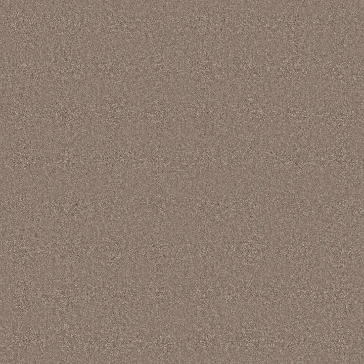 Shaw Floors Dyersburg Classic 15' — Plaster · E0948-55752 — flooring selection with LeviArs Design & Remodeling