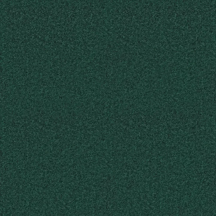 Shaw Floors Dyersburg Classic 15' — Polo · E0948-55301 — flooring selection with LeviArs Design & Remodeling