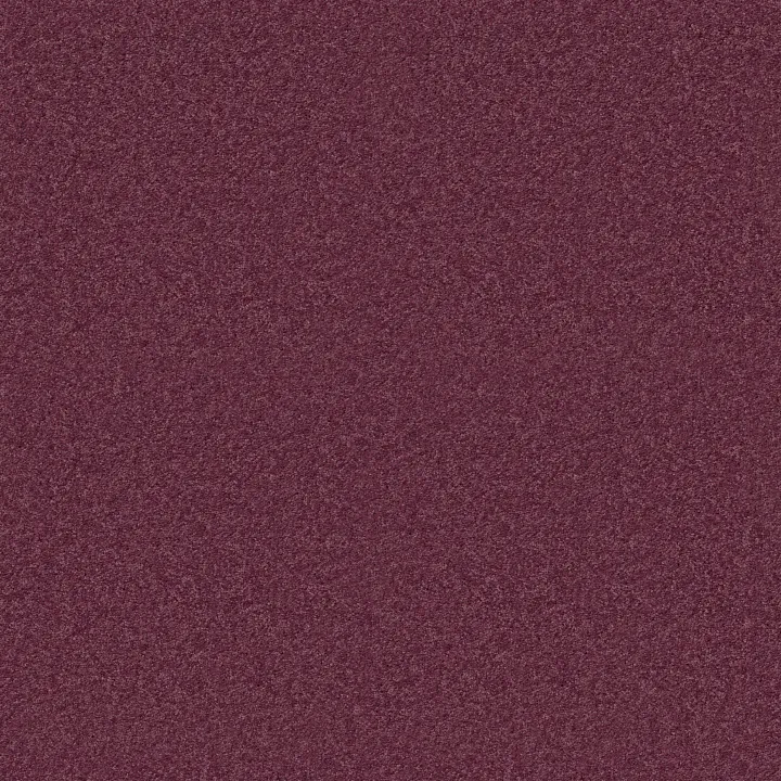 Shaw Floors Dyersburg Classic 15' — Radiant Orchid · E0948-00931 — flooring selection with LeviArs Design & Remodeling