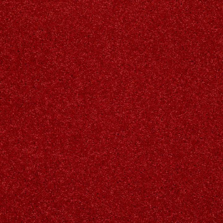 Shaw Floors Dyersburg Classic 15' — Real Red · E0948-55852 — flooring selection with LeviArs Design & Remodeling