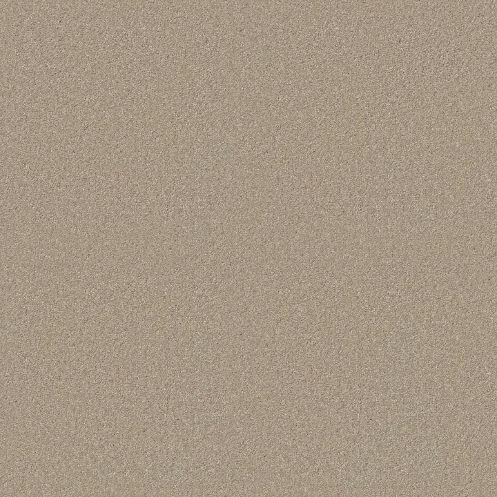 Shaw Floors Essay II 15' — Sand Dollar · 52N89-00116 — flooring selection with LeviArs Design & Remodeling