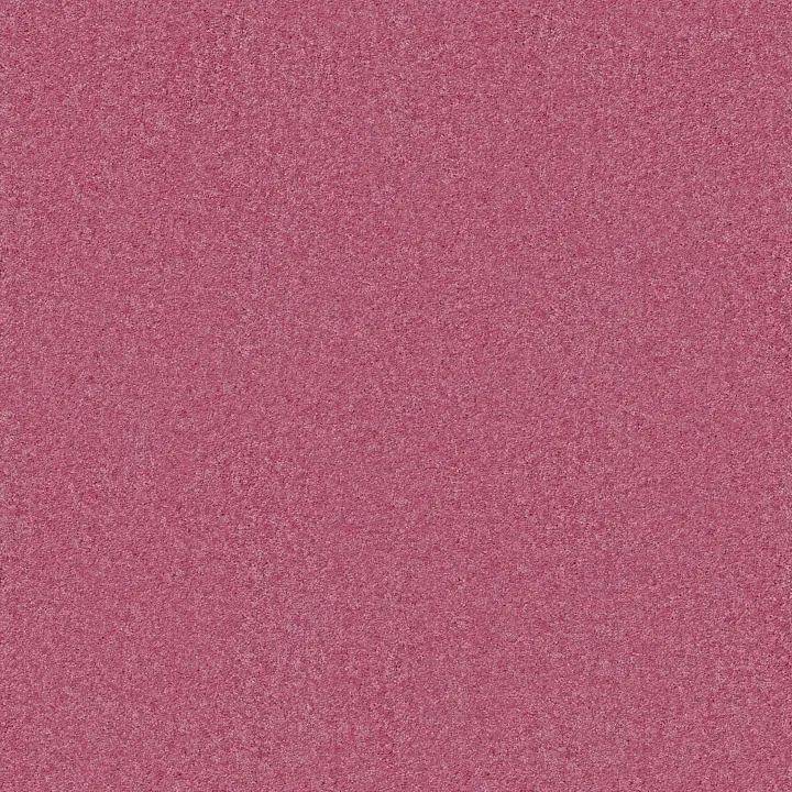 Shaw Floors Dyersburg Classic 15' — Sassy Pink · E0948-00830 — flooring selection with LeviArs Design & Remodeling