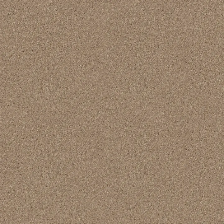 Shaw Floors Essay II 15' — Straw Hat · 52N89-00250 — flooring selection with LeviArs Design & Remodeling
