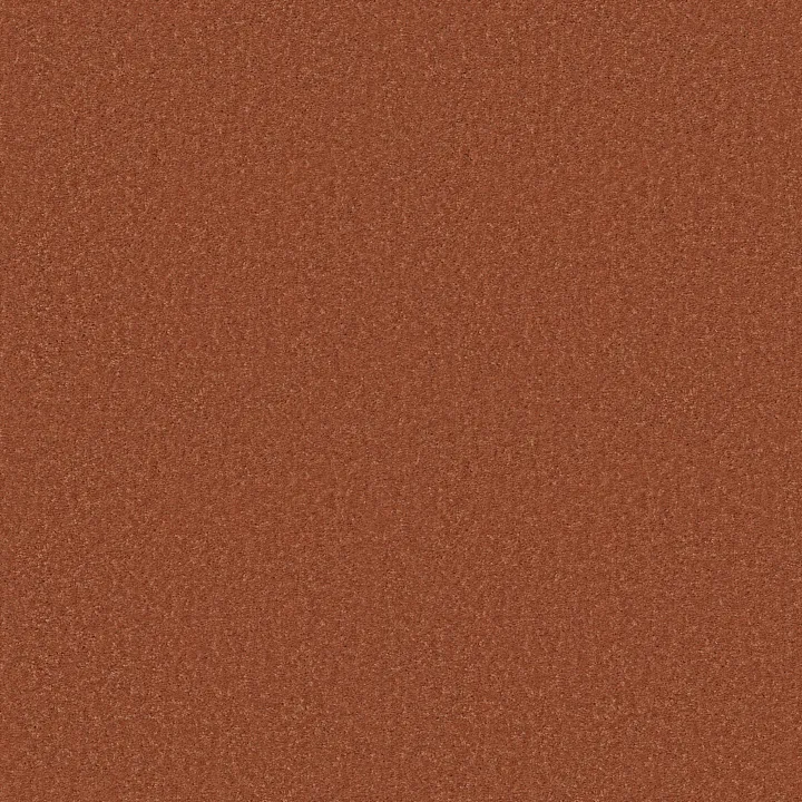 Shaw Floors Dyersburg Classic 15' — Sunburst · E0948-00630 — flooring selection with LeviArs Design & Remodeling