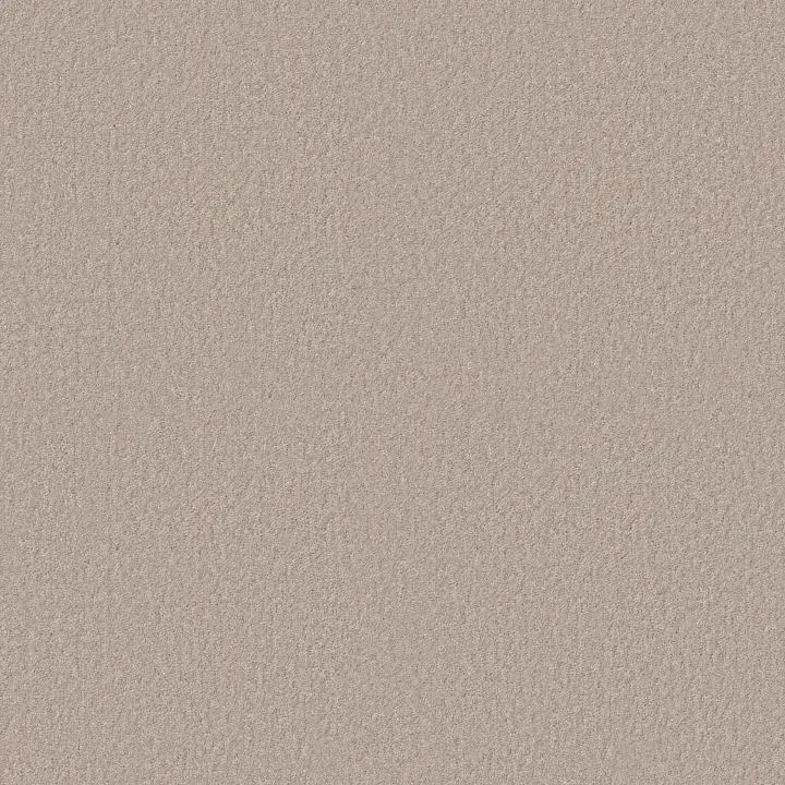 Shaw Floors Dyersburg Classic 15' — Taupe · E0948-55105 — flooring selection with LeviArs Design & Remodeling